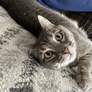 Fundraising Page: Nicole Glenzinski